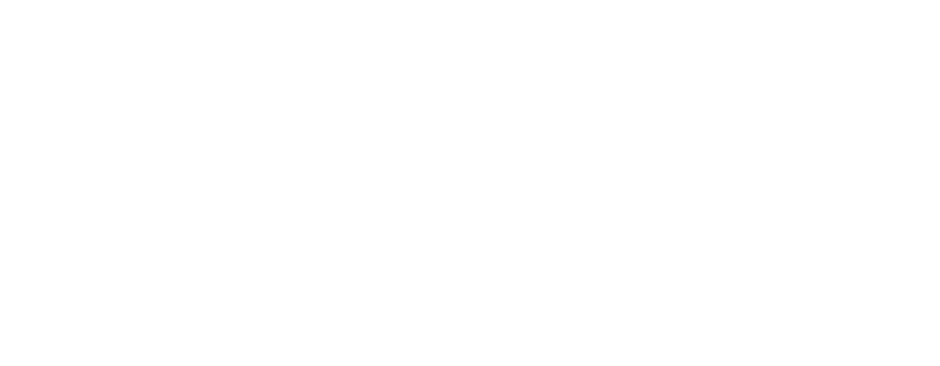 【DEV】ESPRIMA